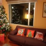 Protector Sillon20191121_193851
